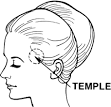 英語の単語「temple」を表す画像